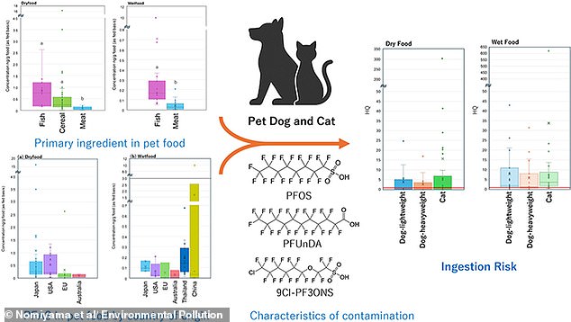 Aviso aos proprietários de animais de estimação, pois cientistas descobrem químicos cancerígenos tóxicos em alimentos úmidos populares