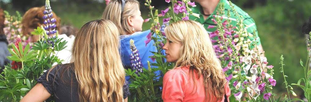 Notícias da vila de Herstmonceux e Wartling