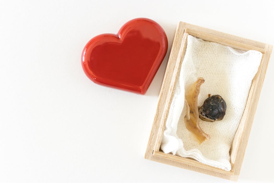 Dos colares de joelho às lembranças do cordão umbilical: os riscos de manter e consumir tecidos humanos